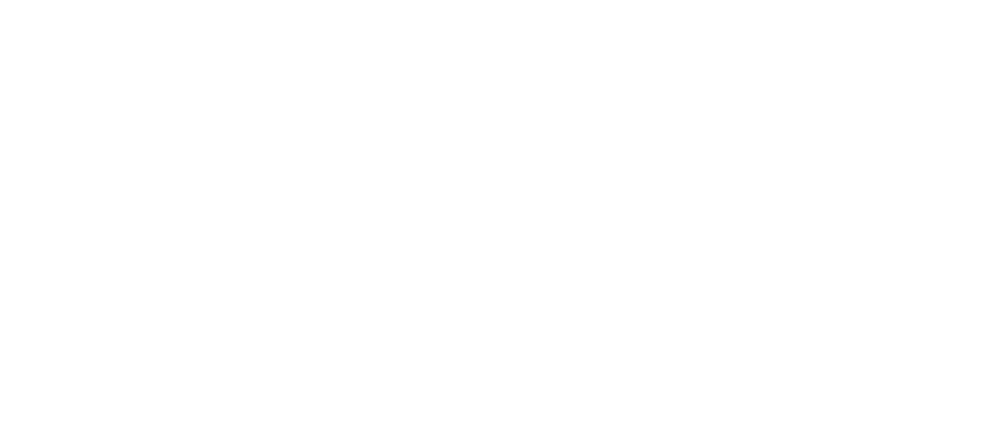 new_logo_FX_SPORTS_black_big.pngw